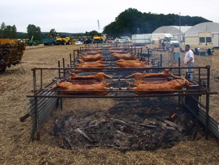 A mega pig roast