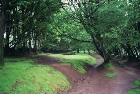 Drove Road Quantocks blog