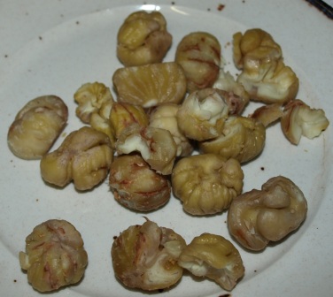 Chestnuts 8