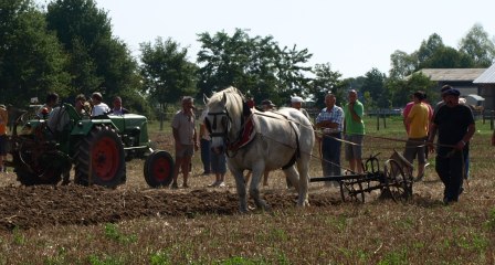 Ploughing with horse