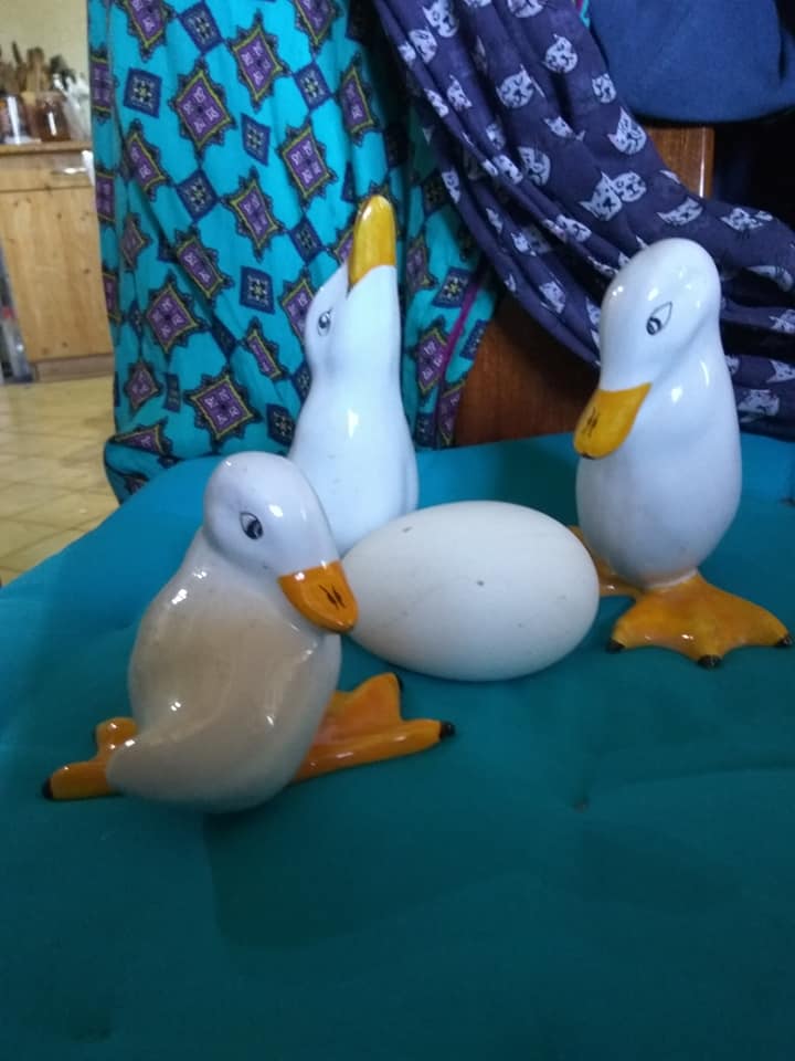 Ducks waiting for egg to hatch