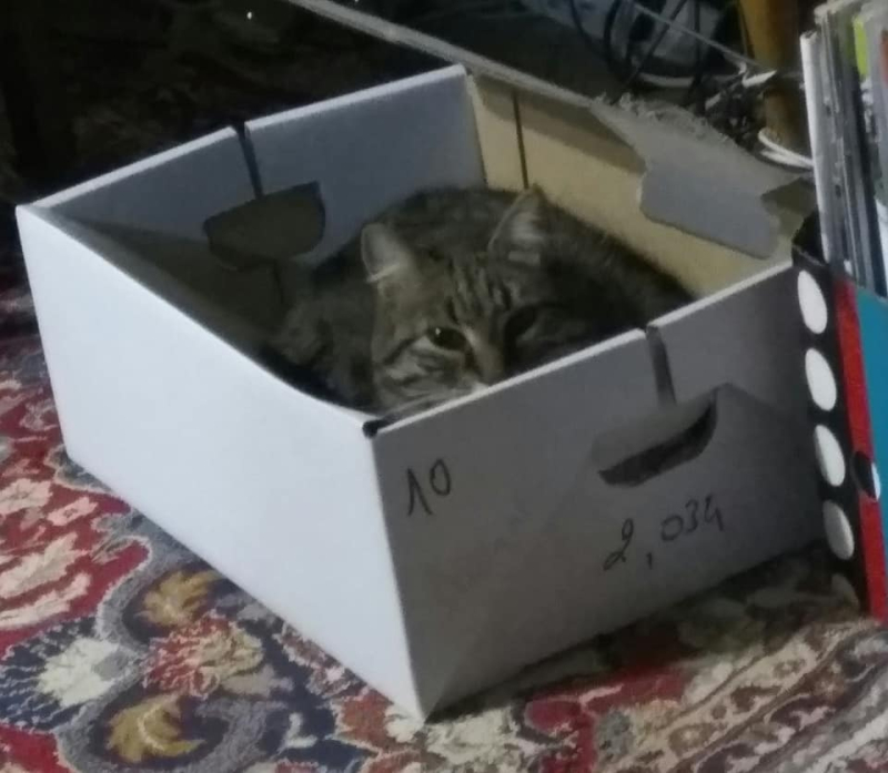 Leave a box unattended