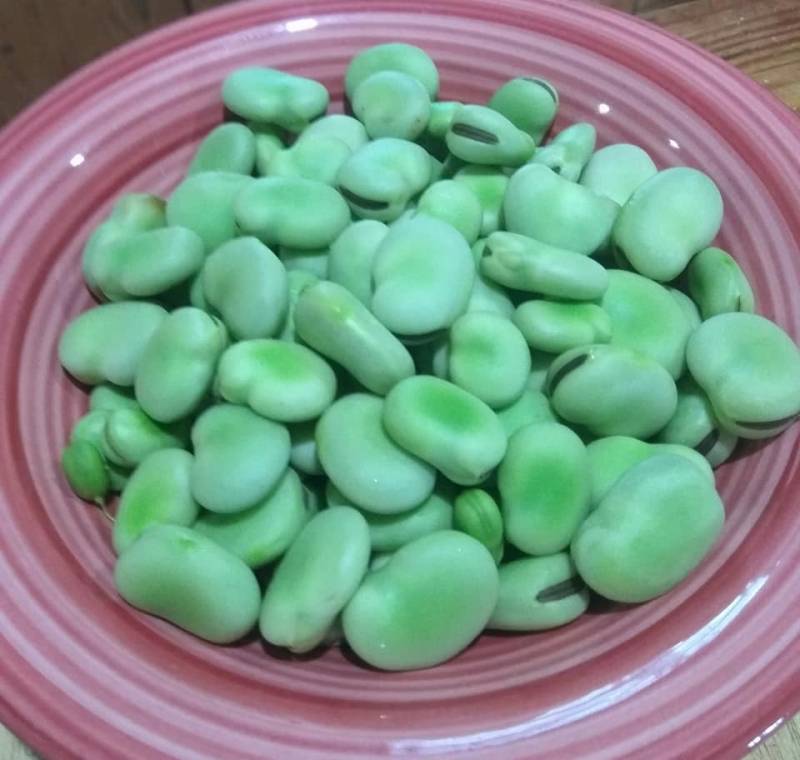 Broad beans