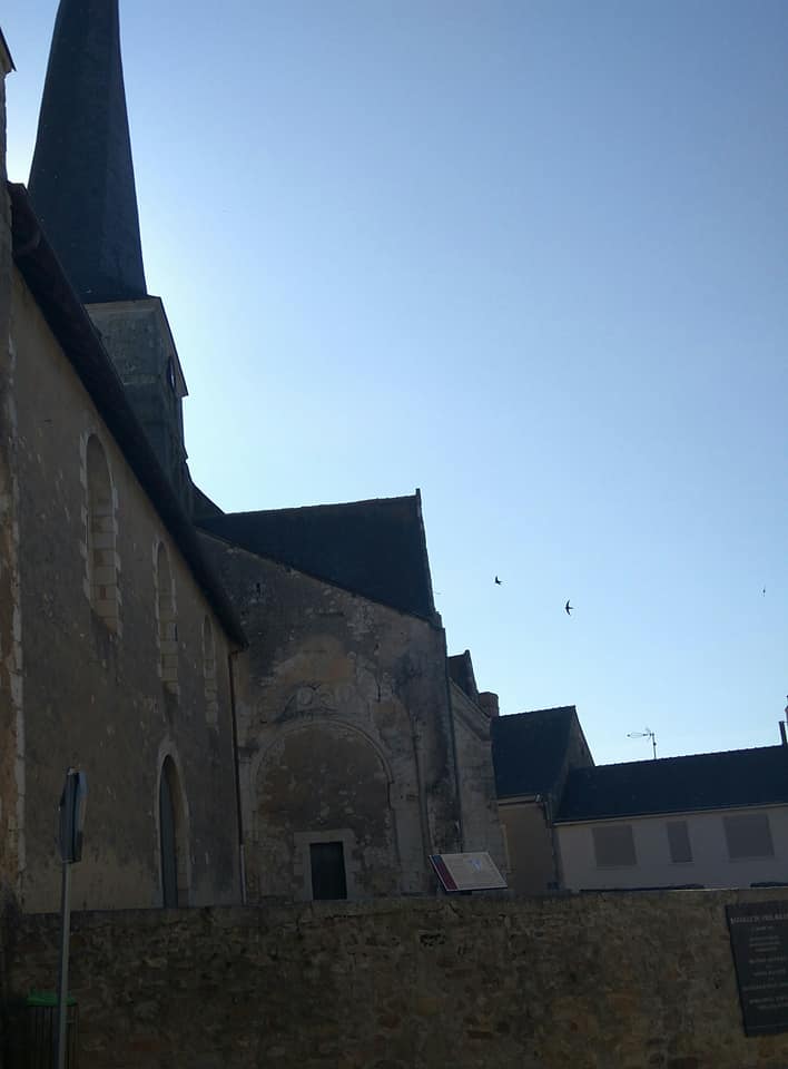 Swifts at the church 2
