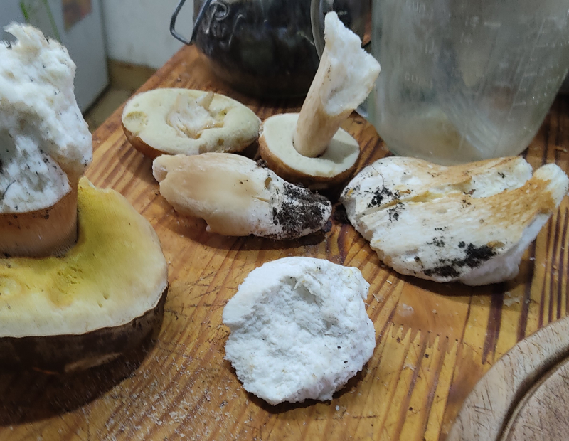A few mushrooms