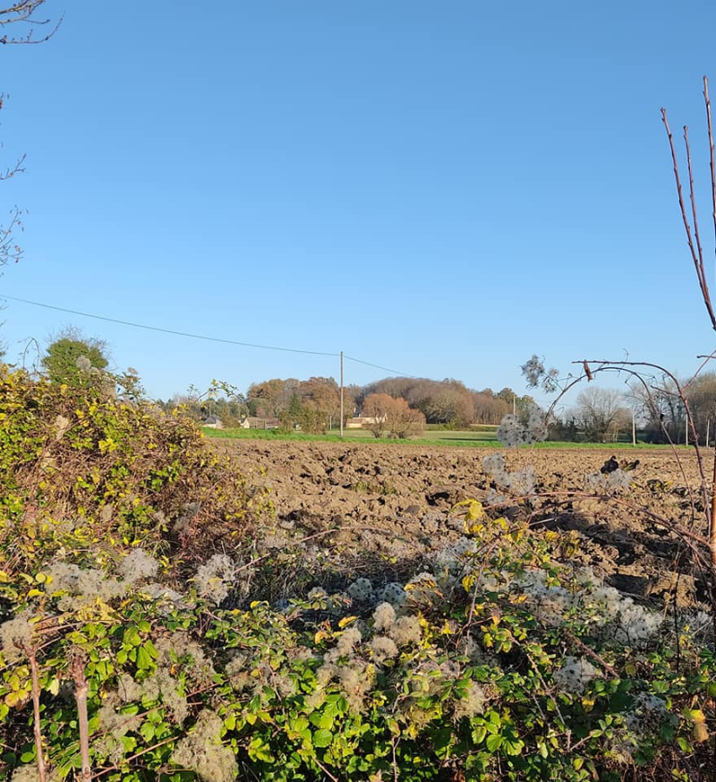 Pretty rural view