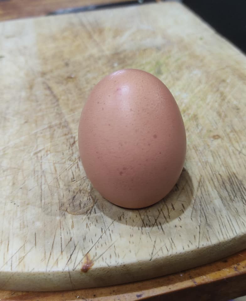 First egg