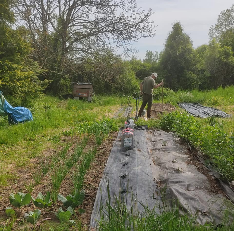 Progress on the veg plots