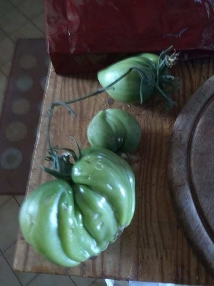 Green tomatoes