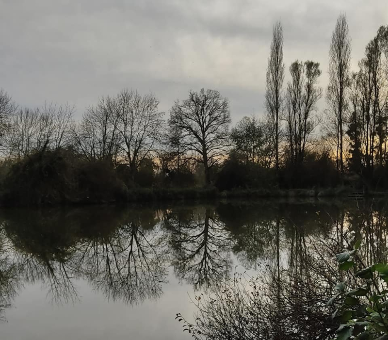 Winter tree reflection