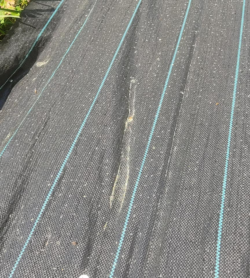 Evidence of pollen