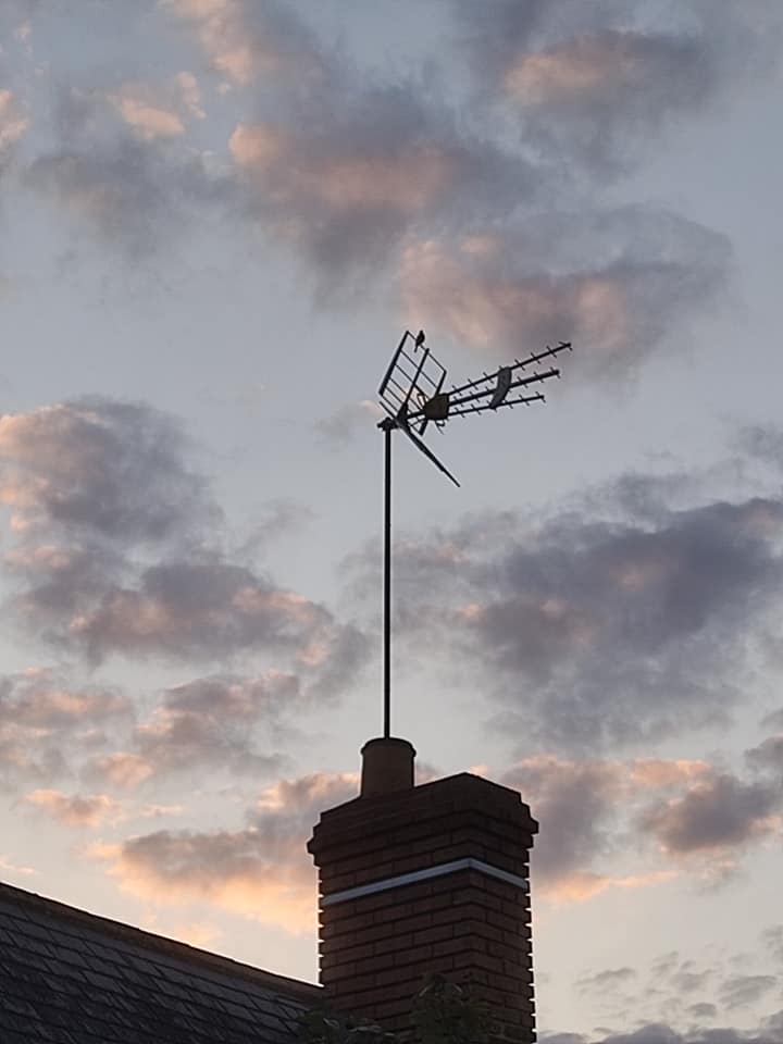 Possible nightingale at dusk