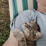 Help in the hammock