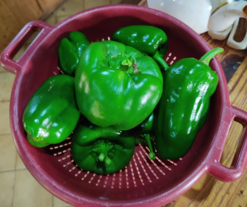 Green peppers