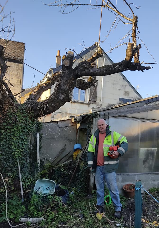 Man prepares to battle tree