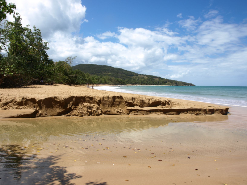 Idyllic beach