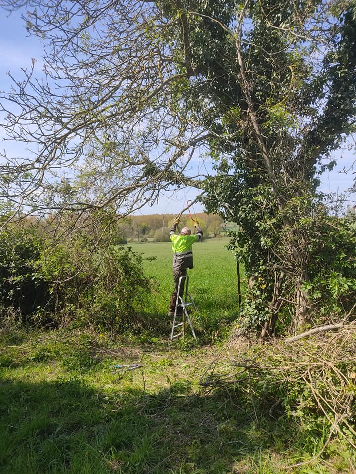 Health and safety nightmare