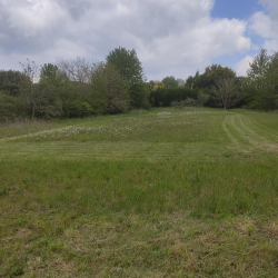 Selective mowing in the meadow