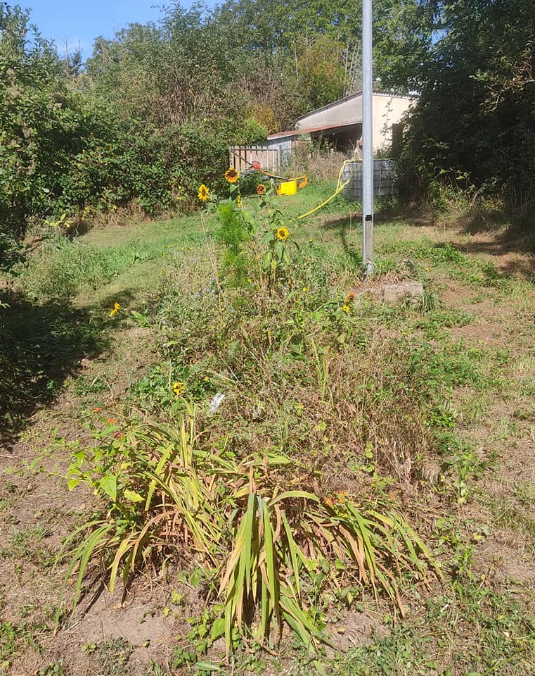 The flower border