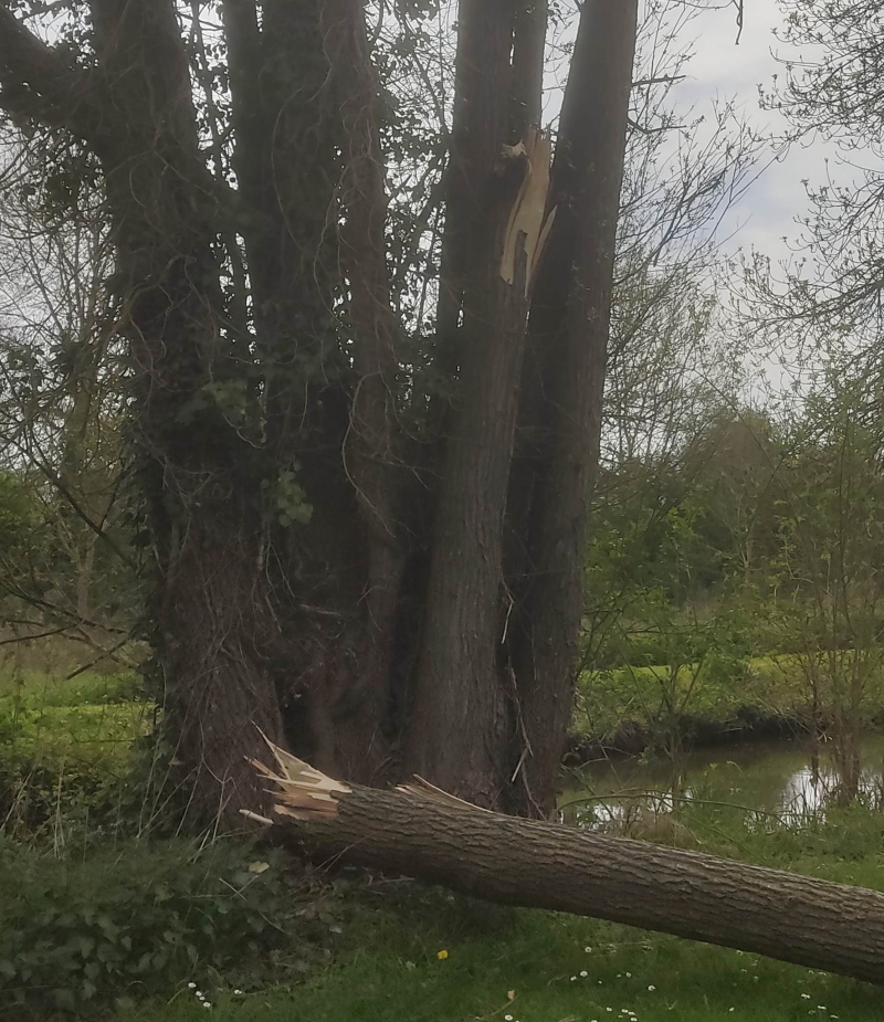 Storm diego damage