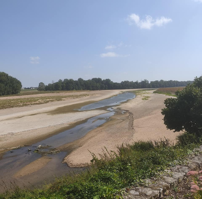 La Loire in summer mode