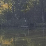 Distant heron