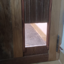 The cat door