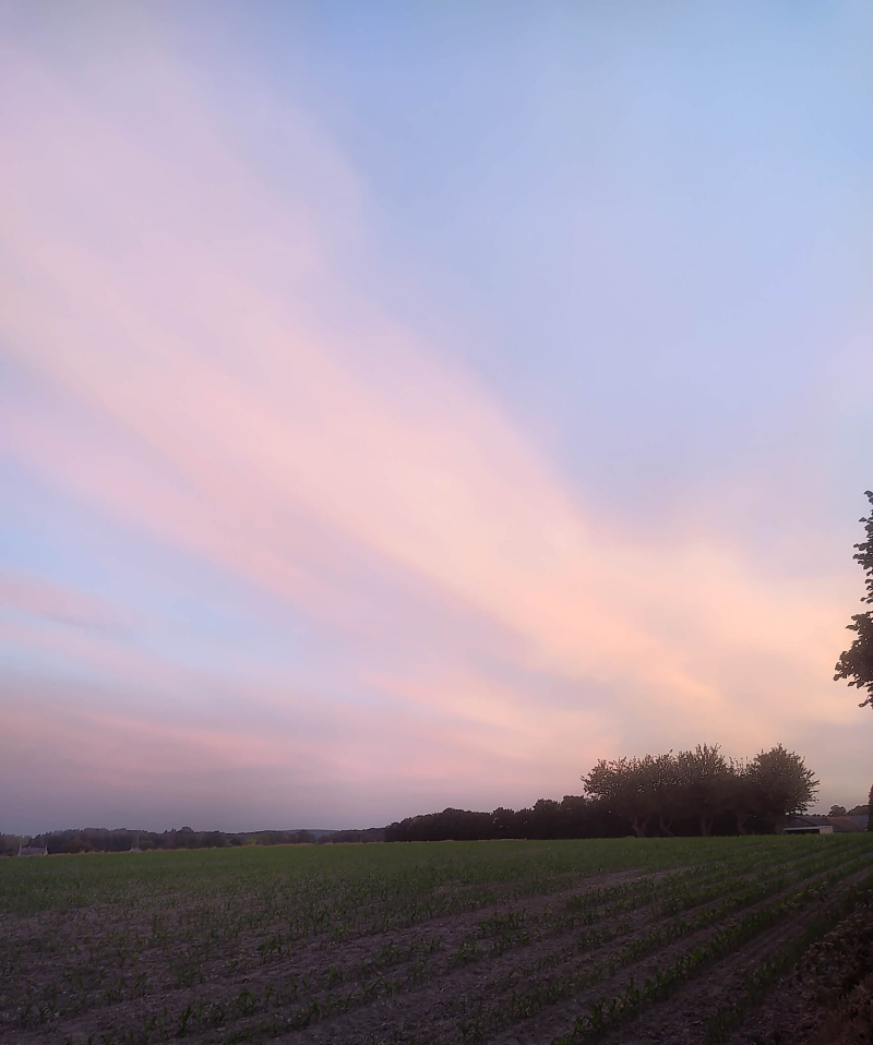 Big skies