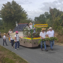 C7 Cuon and the grape harvest