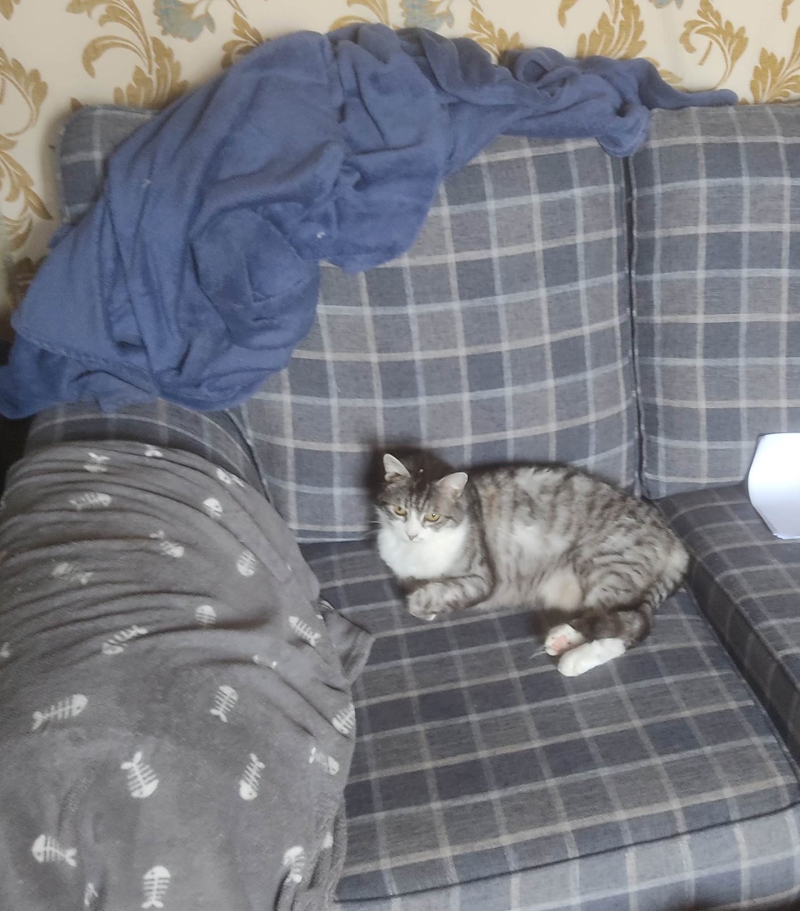 Claimed new sofa