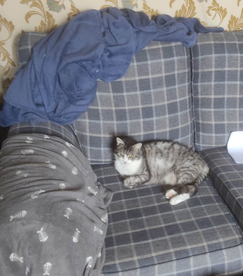 Claimed new sofa