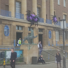 Norwich spiders