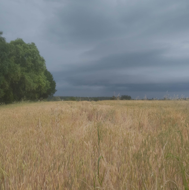 Threatening skies