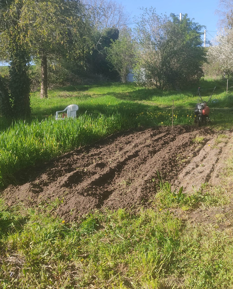 Getting ready for potatoes