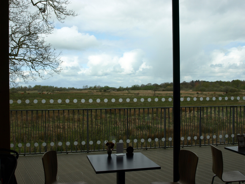 View from Carlton Marshes cafe