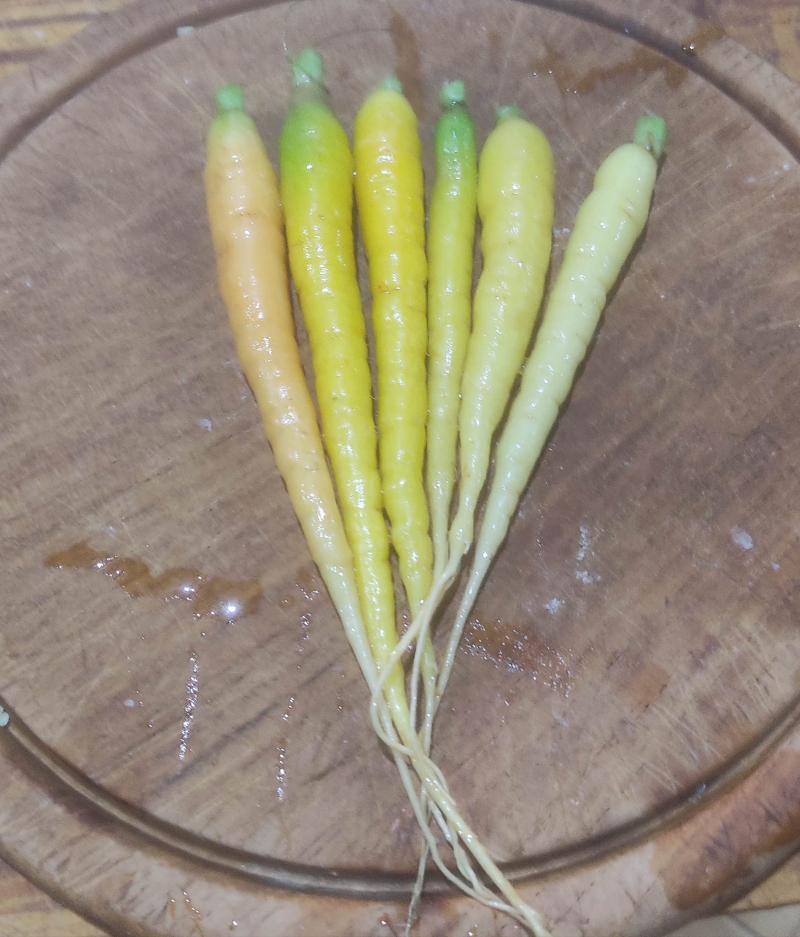 Rainbow carrots