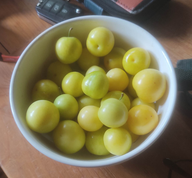 Mirabelles