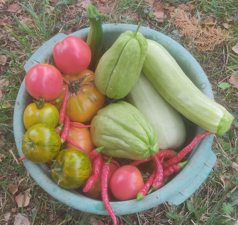 A days harvest