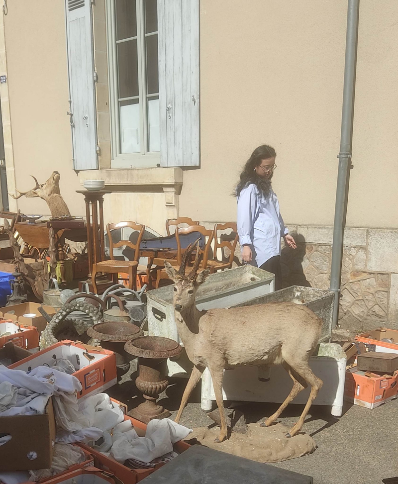 Typical brocante