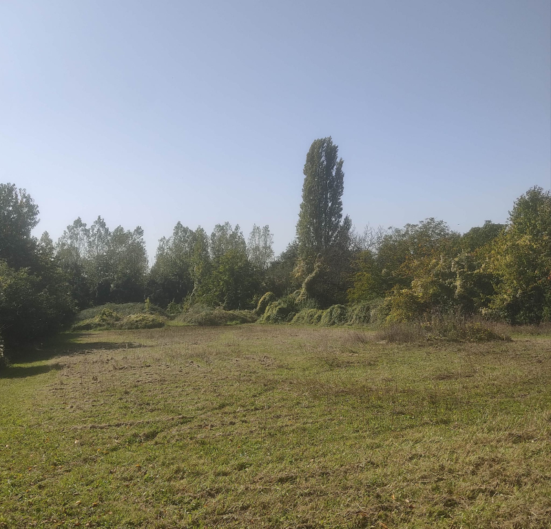 Mown meadow