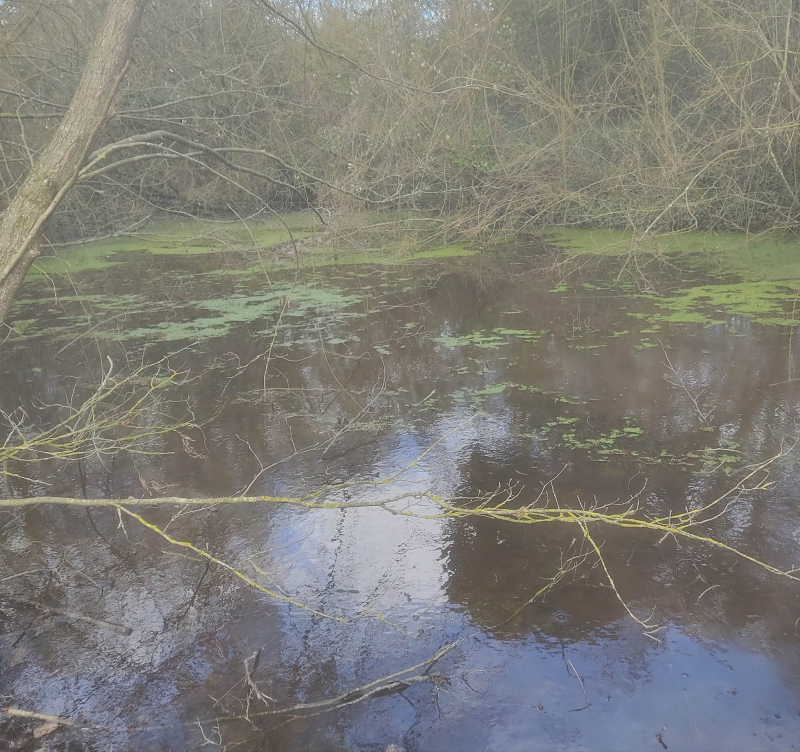 More water in the second pond