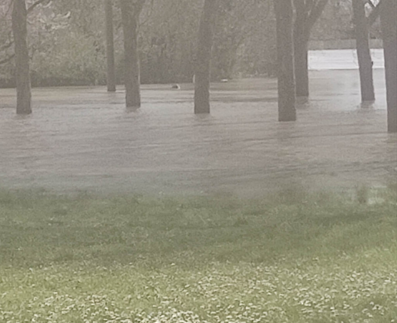 Submerged stop sign