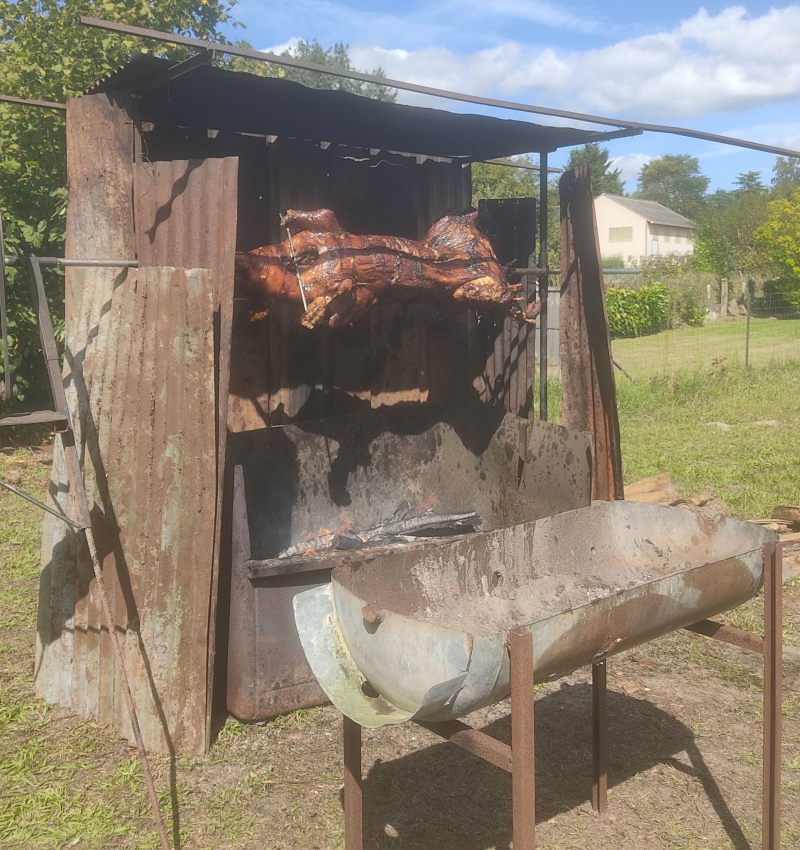 Lunch cooking