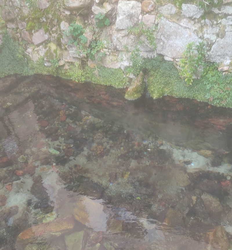 Clear water spring