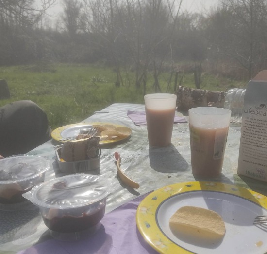 Picnic lunch