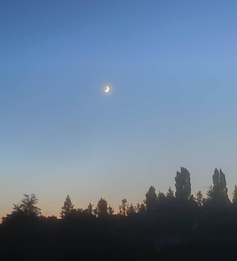 New moon