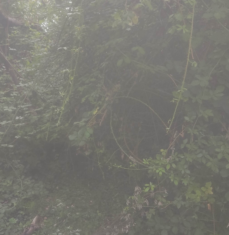 Blocked path