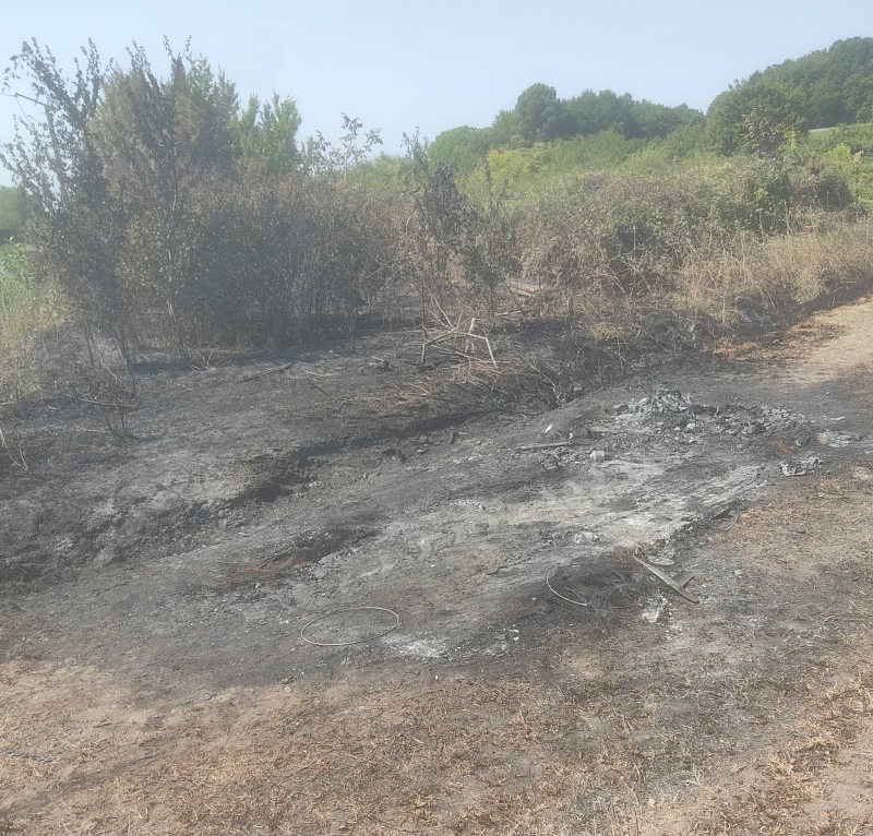 Fire damage 3
